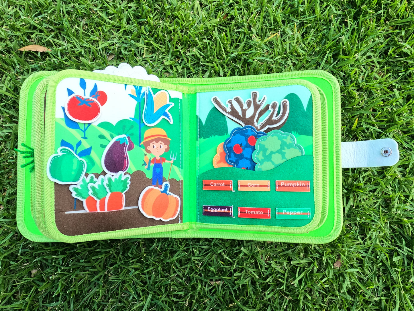 Hands-On Farm Book