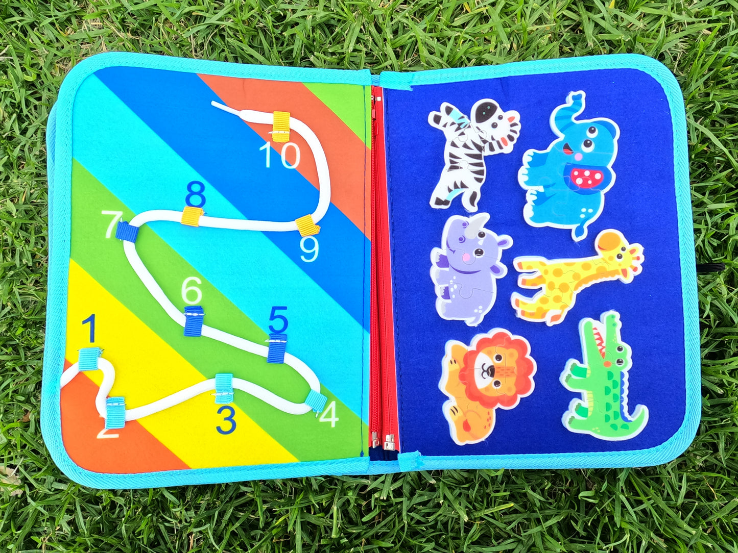 Educational Activity Book