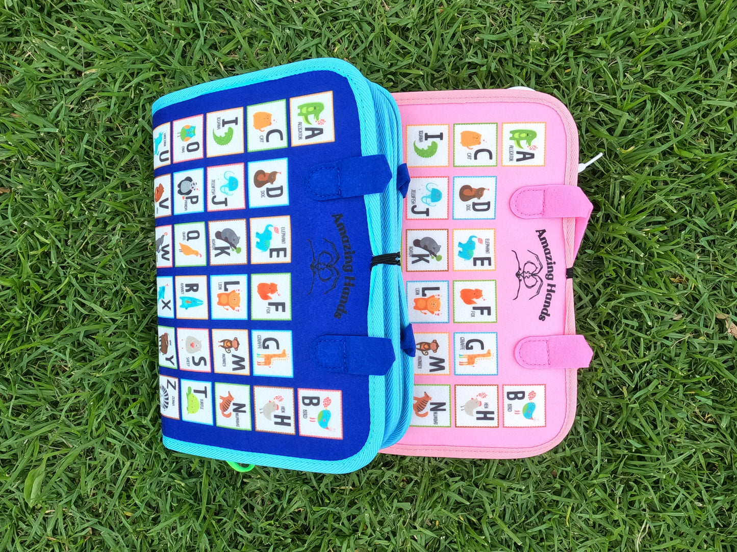 Educational Activity Book